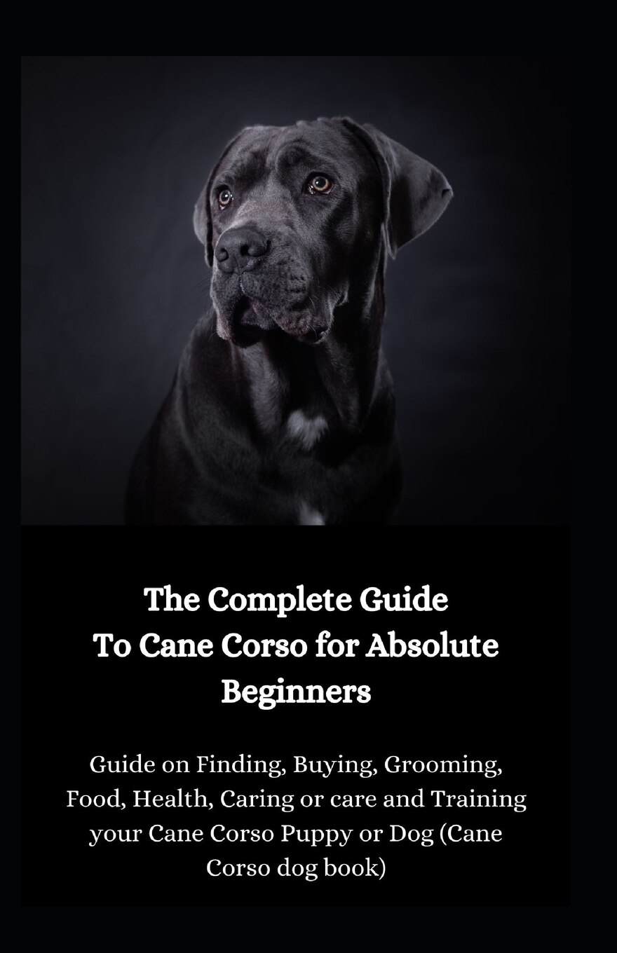 Training your deals cane corso
