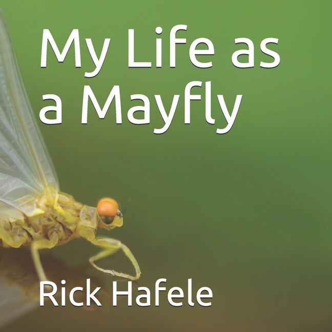 Front cover_My Life as a Mayfly