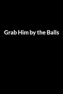 Couverture_Grab Him by the Balls