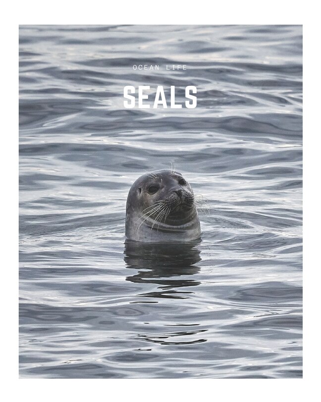 Front cover_Seals
