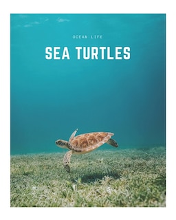 Sea Turtles: A Decorative Book │ Perfect for Stacking on Coffee Tables & Bookshelves │ Customized Interior Design & Home Decor