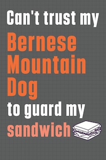 Can't trust my Bernese Mountain Dog to guard my sandwich: For Bernese Mountain Dog Breed Fans