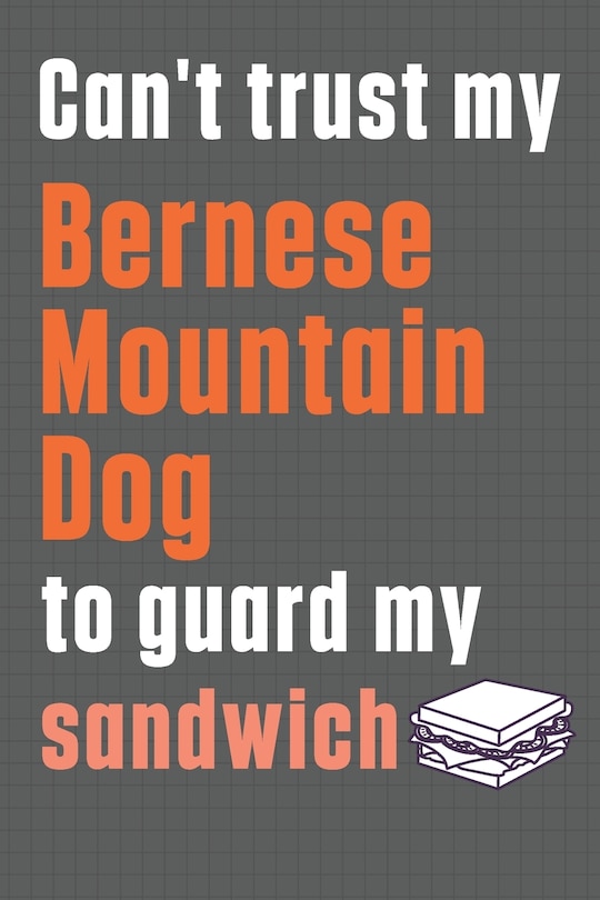 Can't trust my Bernese Mountain Dog to guard my sandwich: For Bernese Mountain Dog Breed Fans