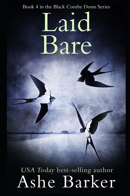 Front cover_Laid Bare