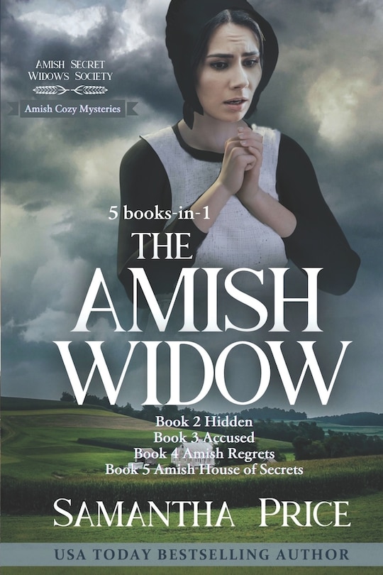 Front cover_Amish Cozy Mysteries