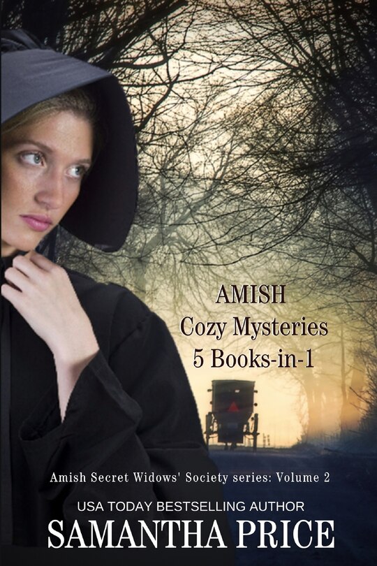 Front cover_Amish Cozy Mysteries