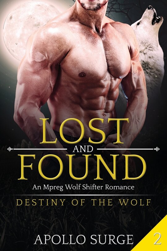 Front cover_Lost and Found