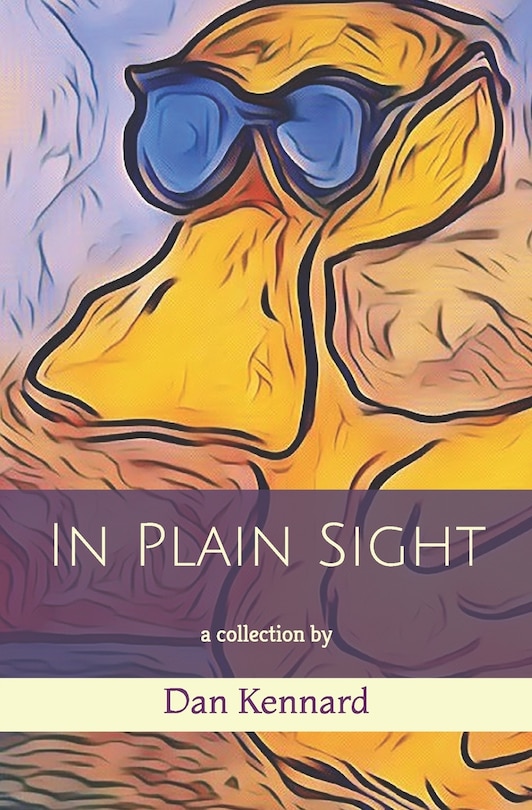 Front cover_In Plain Sight