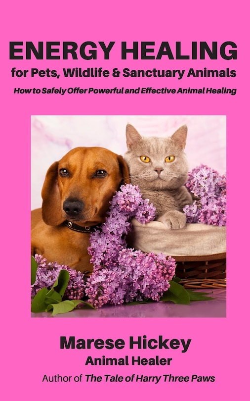 Front cover_Energy Healing for Pets, Wildlife & Sanctuary Animals