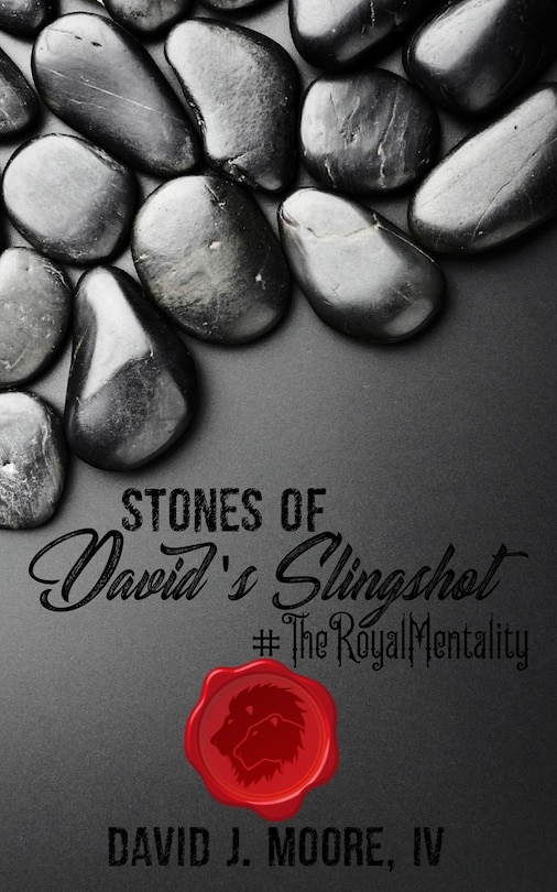 Front cover_Stones of David's Slingshot