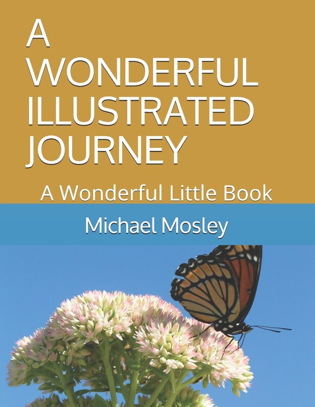 Front cover_A Wonderful Illustrated Journey