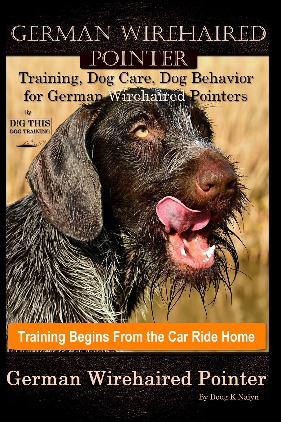 German wirehaired pointer training deals