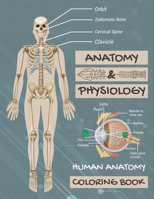 Front cover_Anatomy & Physiology