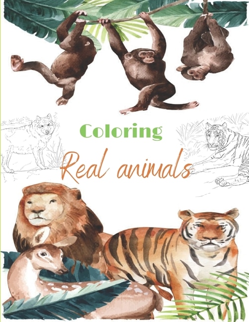 Front cover_Coloring Real animals