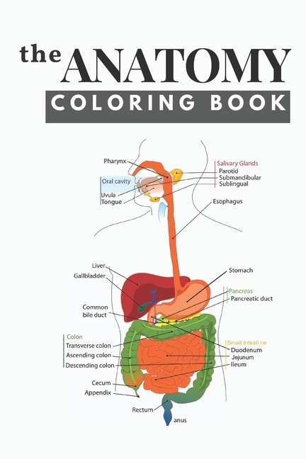 Couverture_The anatomy coloring book
