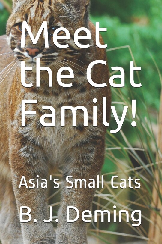 Couverture_Meet the Cat Family!