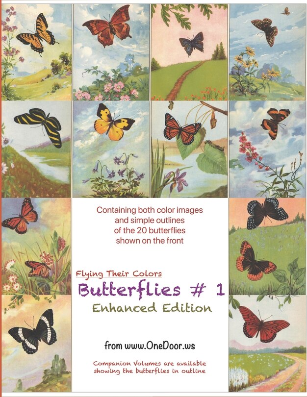 Front cover_Butterflies #1 - Enhanced Coloring Book