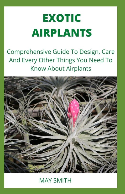 Couverture_Exotic Airplants