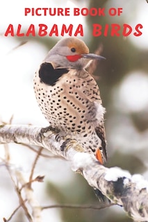 Couverture_Picture Book of Alabama Birds