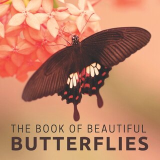 Couverture_The Book Of Beautiful Butterflies