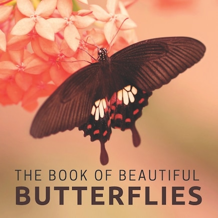 The Book Of Beautiful Butterflies: Picture Book For Seniors With Dementia (Alzheimer's)