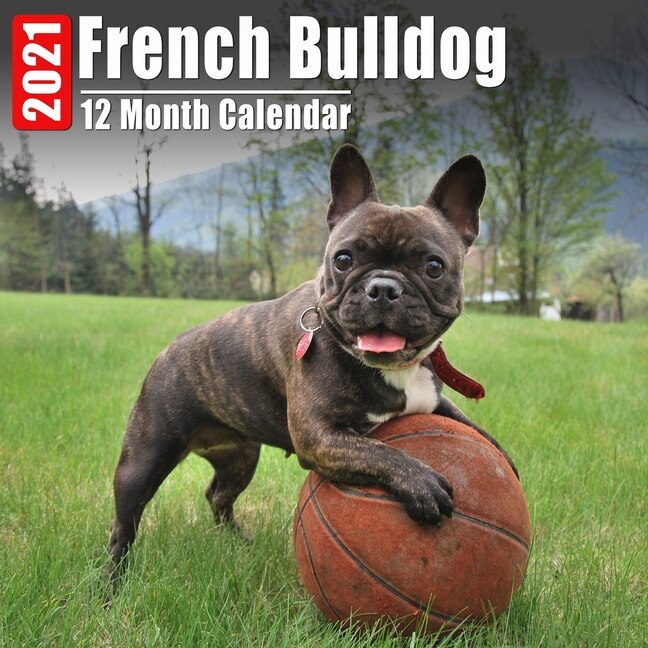 Calendar 2021 French Bulldog: Cute French Bulldogs Photos Monthly Mini Calendar With Inspirational Quotes Each Month