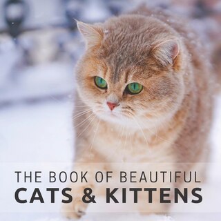 Front cover_The Book of Beautiful Cats & Kittens