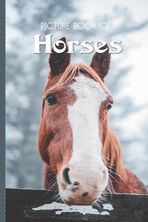Couverture_Picture Book Of Horses