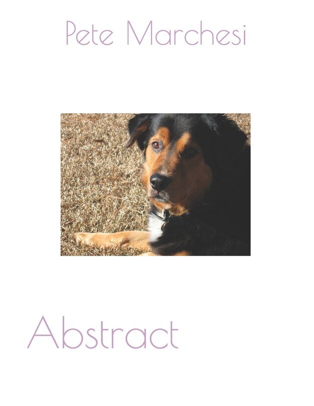 Front cover_Abstract