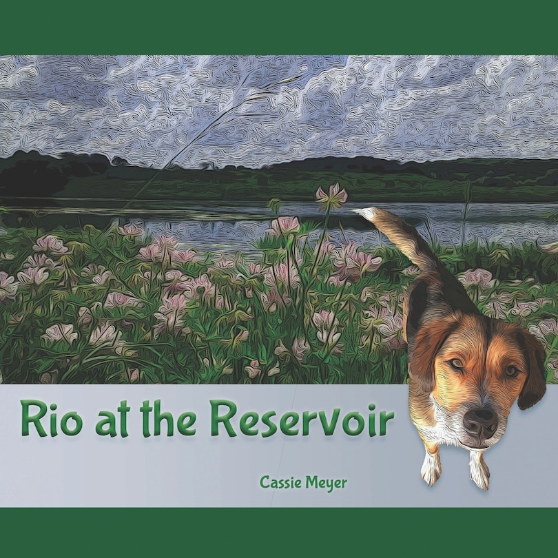 Couverture_Rio at the Reservoir