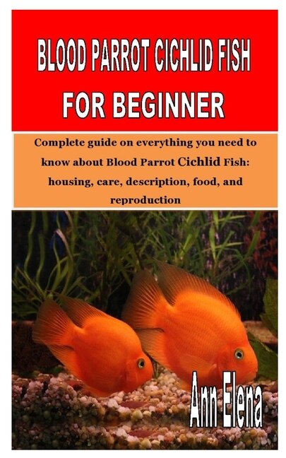 Blood Parrot Cichlid Fish for Beginner Complete guide on