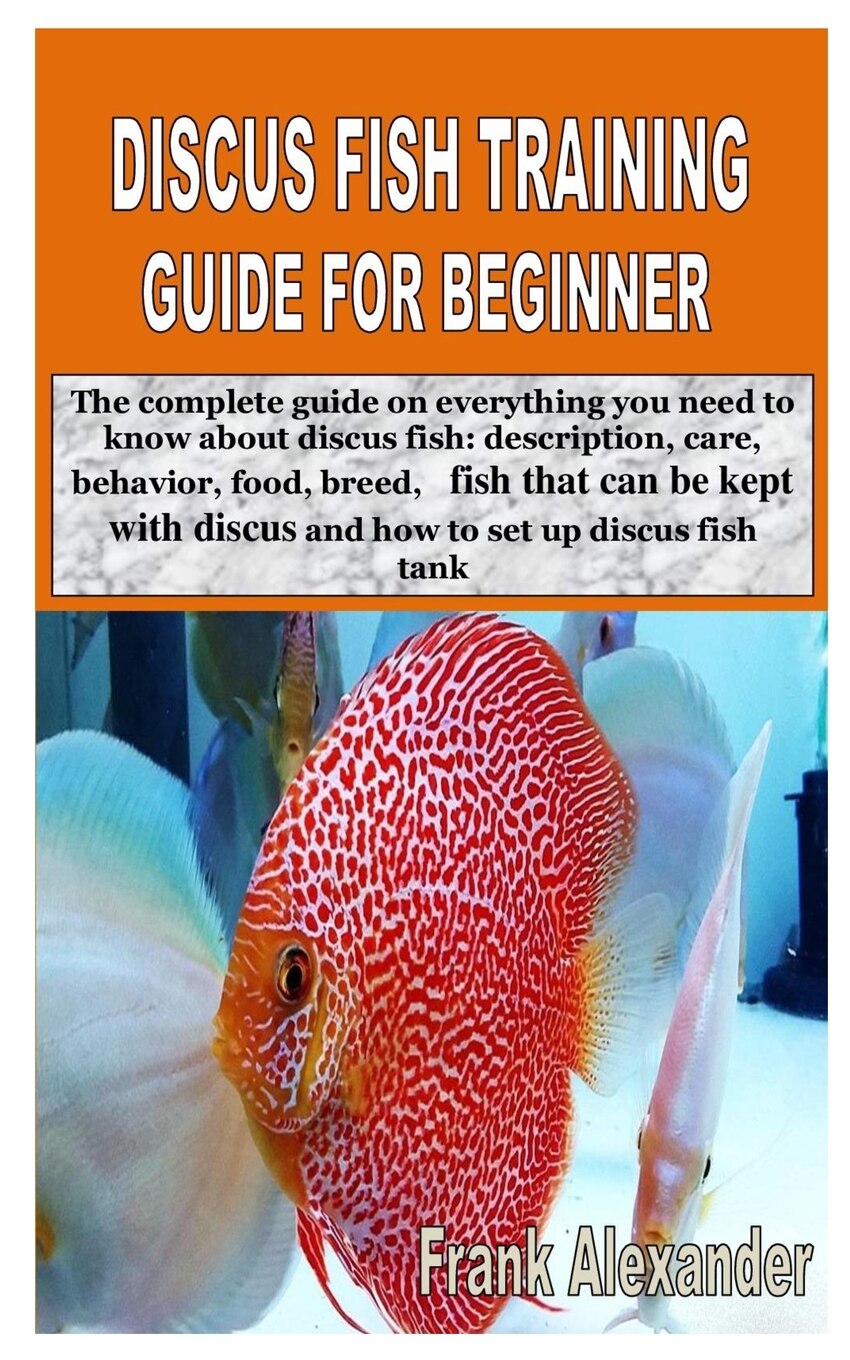 Discus fish sale care for beginners