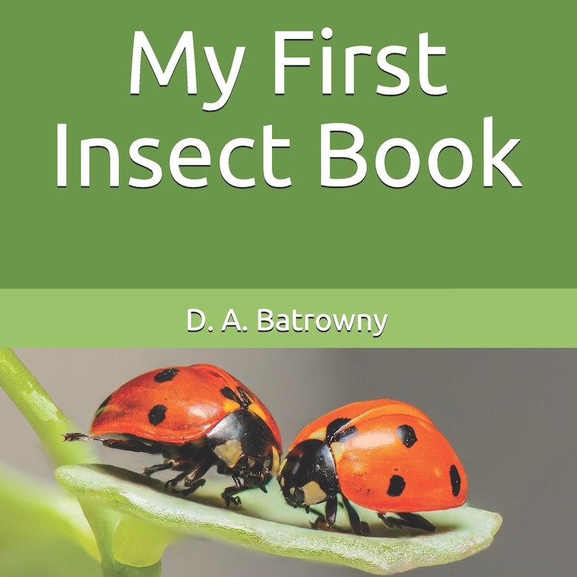 Front cover_My First Insect Book