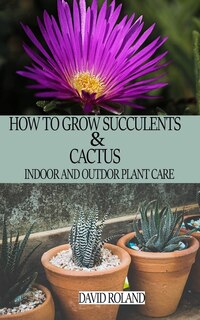 How To Grow Succulents And Cactus: Indoor And Outdoor Plant Care