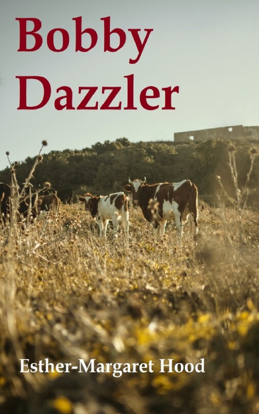 Front cover_Bobby Dazzler
