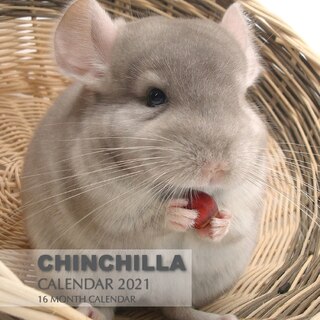 Front cover_Chinchilla Calendar 2021
