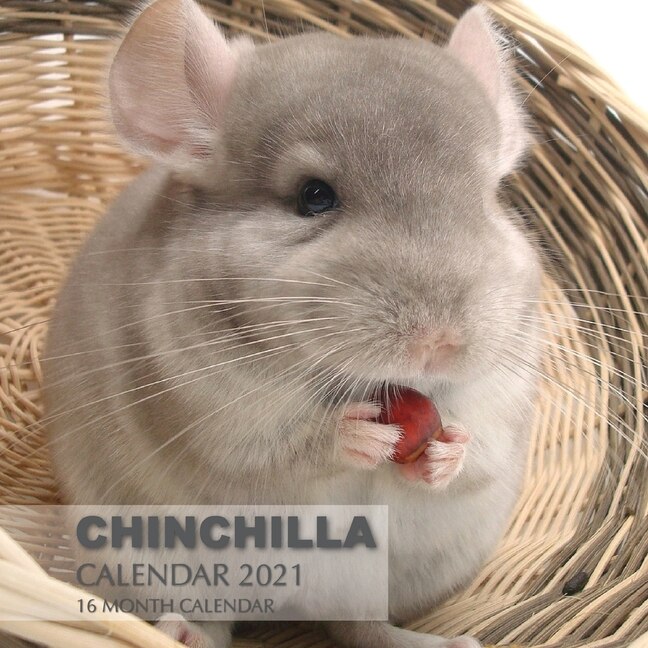 Front cover_Chinchilla Calendar 2021