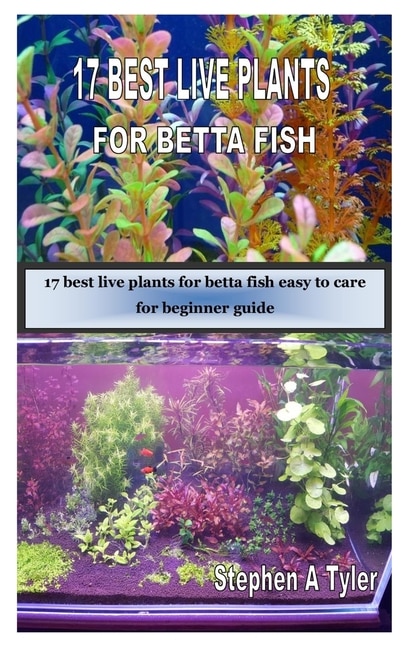 17 Best Live Plants For Betta Fish: 17 Best Live Plants For Betta Fish Easy To Care For Beginner Guide