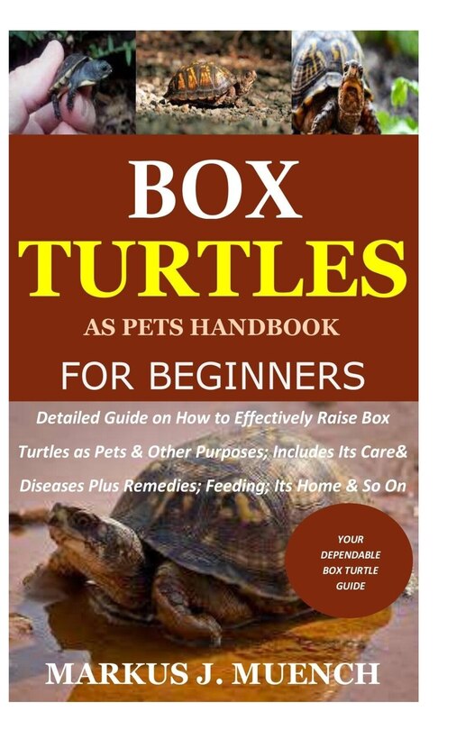 Couverture_Box Turtles as Pets Handbook for Beginners