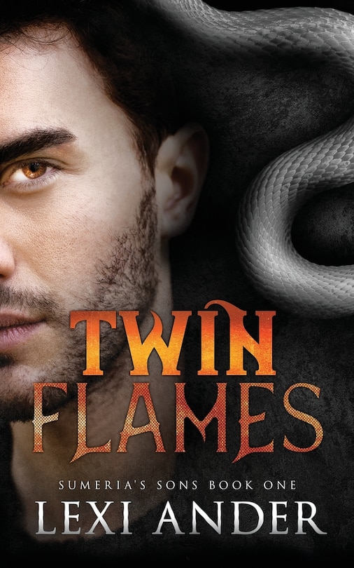 Couverture_Twin Flames
