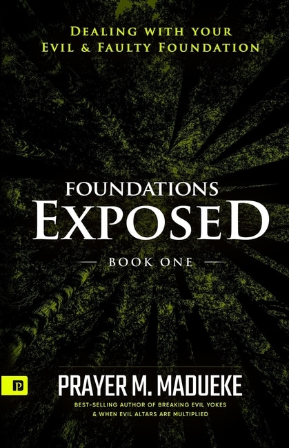 Front cover_Foundations Exposed (Book 1)