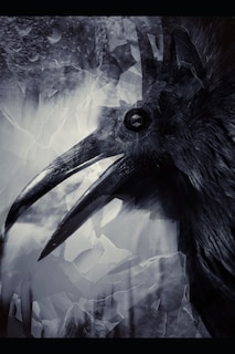 Front cover_Harab Serapel; Ravens Of The Burning God
