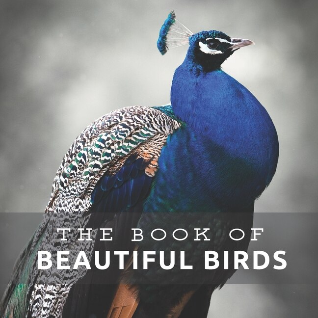 Front cover_Beautiful Birds