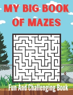 Front cover_Fun And Challenging My Big Book Of Mazes Book