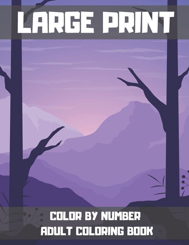 Front cover_Large Print Color By Number Adult Coloring Book