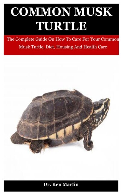 Common Musk Turtle: The Complete Guide On How To Care For Your Common ...