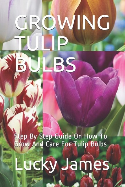 Growing Tulip Bulbs: Step By Step Guide On How To Grow And Care For Tulip Bulbs