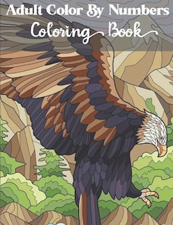 Front cover_Adults Color by numbers coloring book