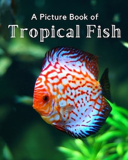 Couverture_A Picture Book of Tropical Fish