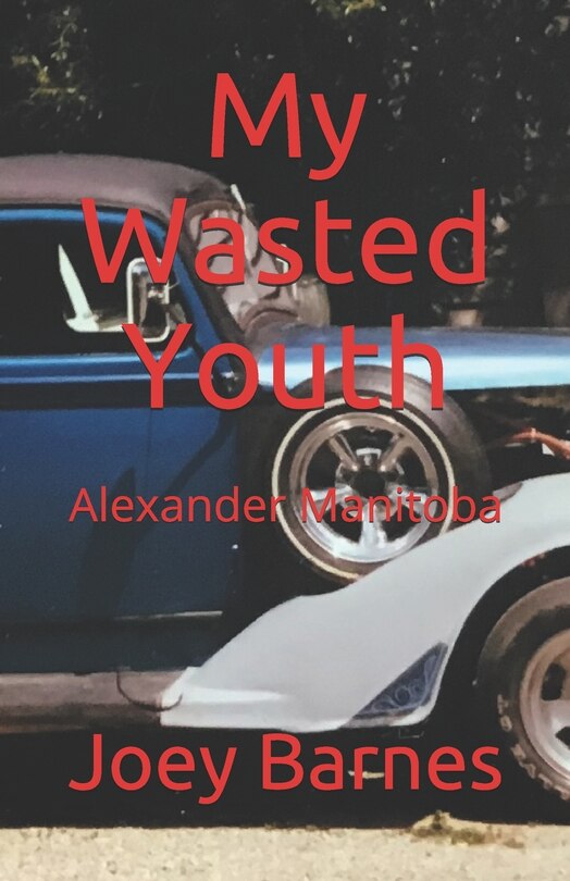 Front cover_My Wasted Youth